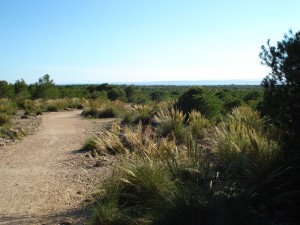 Hus i Spanien med adgang til flot natur